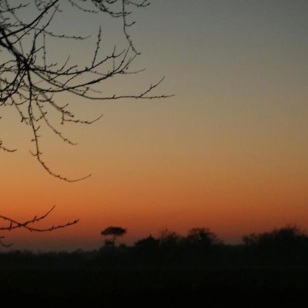 Gite Le Coucher De Soleil Plessé Eksteriør bilde
