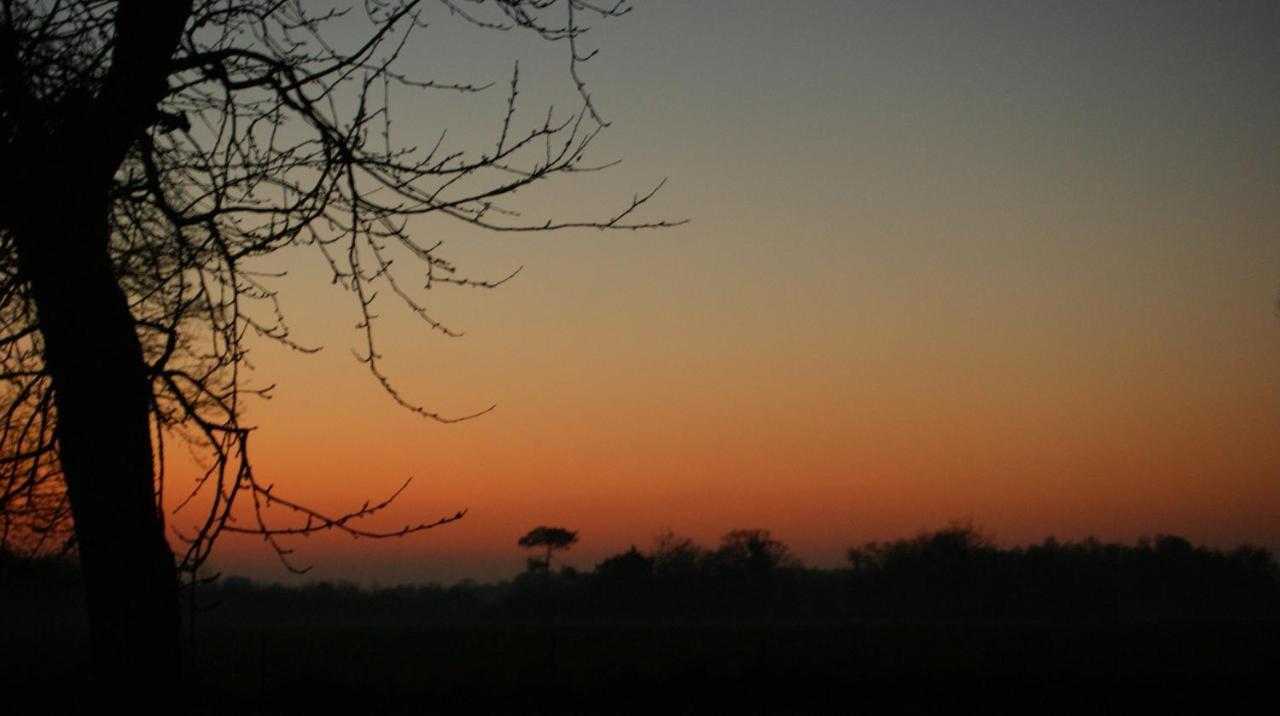 Gite Le Coucher De Soleil Plessé Eksteriør bilde